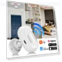 Motion Sensor — Motion Sensors, Tuya