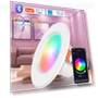 Smart Ceiling Light — Lighting Accessories, Cosy Homes
