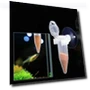 Automatic Fish Feeder — Feeders, Justappy