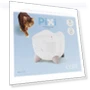 Pixi Fountain White Quiet Cat Smart Waterer — Fountains, Hidden Nest