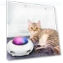 Automatic Cat Toy — Cat Playthings, TOMTOP JMS
