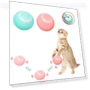 Electric Rolling Ball for Cats — Cat Playthings, QQ STUDIO