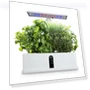 Hydroponic Smart Growing System — Germination Kits, TOMTOP JMS
