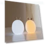 Silicone Touch Sensor LED Night Light — Night Lights, Mi Homes