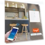 Smart Wall Switch with Touch Screen — Dimmer Switches, MALITAI