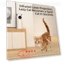 Automatic Laser Cat Toy — Cat Playthings, PetGuider