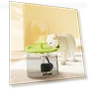 Automatic Pet Water Bowl — Feeding Supplies, BC Pet Supplies