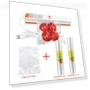 Automatic Vacuum Food Sealer — Vacuum Sealers, ATWFS