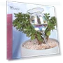 Glass Plant Waterer — Automatic Irrigation, Beautiful Garden