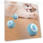Interactive Ball for Cats and Dogs — Cat Playthings, BC Pet Supplies