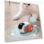 Smart Electric Toy for Cats — Cat Playthings, BC Pet Supplies