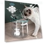Smart Motion Sensor Water Switch for Cats and Dogs — Pet Hydration Solutions, COOKING-MALL