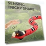 Smart Snake Toys for Cats — Cat Playthings, Love Valley
