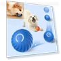 Smart Toy Ball for Dogs — Interactive Animal Companions, HeyLife