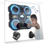 Smart Wall-Mounted Boxing Trainer — Boxing Training Gear, HappyToy