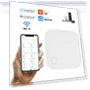 Wi-Fi + BT Hub Smart Gateway — Smart Home Hubs & Controllers, Toys & Arts