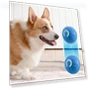 Automatic Moving Dog Toy Ball — Balls, Home selection