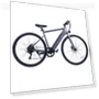 Electric Bike — Electric Vehicles, AVAKA