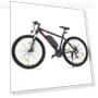 Electric Mountain Bike — Electric Self-Balancing Scooters, Eleglide