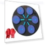 Smart Musical Boxing Trainer with Gloves — Boxing Training Gear, TOMTOP JMS