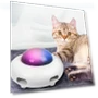 Smart UFO Teaser Toy for Cats — Cat Playthings, BC Pet Supplies