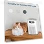 HEPA Air Purifier with Aromatherapy — HEPA Air Purifiers