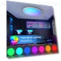 Smart Ceiling Light with Remote Control — Overhead Lighting, HENTAG