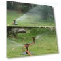 Automatic watering device — Automatic Irrigation