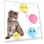 Interactive Cat Toy Ball — Cat Playthings, BC Pet Supplies