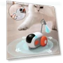 Interactive Cat Toy with Remote Control — Interactive Animal Companions, NATAWA
