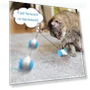 Interactive Cat Toy — Cat Playthings, TOMTOP JMS