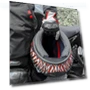 Motorcycle Gloves with Touchscreen — Gloves, TOMTOP JMS