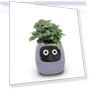 Smart Pot Ivy — Garden Planters, Tuya