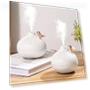 Air Humidifier with Essential Oil Diffuser and LED Lighting — Air Moisturizers, Enjoy Smart Home