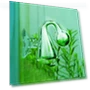 Aquarium CO2 Glass Drop Detector-Test — Hydrometers, Ephemeral