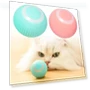 Automatic Rolling Toy for Cats — Cat Playthings, dosanj88