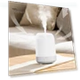 Essential Oil Diffuser with Timer — Diffusers, Computer Life