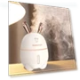Humidifier with Aromatherapy Diffuser — Diffusers, VIGO