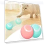 Smart Electric Cat Toys with Rechargeable Battery — Cat Playthings, fancy01