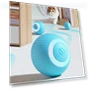 Automatic Rolling Ball Interactive Pet Toy — Exercise Wheels, huji52