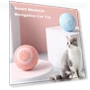 Interactive Pet Toy Ball — Cat Playthings, haoligei