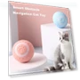 Interactive Pet Toy Ball — Balls, xiekeying
