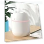 Mini Portable Air Humidifier — Air Moisturizers, TOP-MALL-001