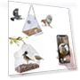 Smart Bird Feeder with Camera — Outdoor & Wildlife Cameras, mei hua