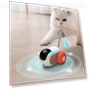 Smart Interactive Toy Car for Cats and Dogs — Interactive Animal Companions, BC Pet Supplies