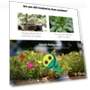 Intelligent Automatic Watering Controller — Controllers, Magic Kitchen