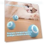 Interactive Ball for Cats — Cat Playthings, Yiran Furniture