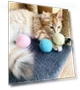 Interactive Ball Smart Cat Toys — Cat Playthings, Yiran Furniture
