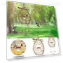 Smart Bird Feeder — Backyard Birding, Vegetables