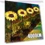 Solar Sunflower Street Lamp — Garden Illumination, LIUXING Fire Solar Lamp